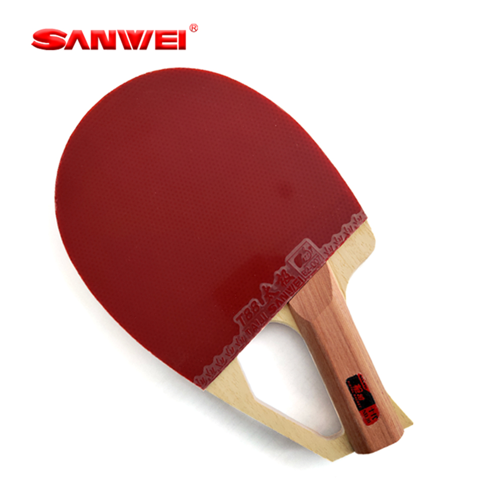 Racchetta da Ping Pong Profess - Table Tennis Paddle recensione e prezzo